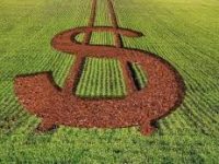 Um cabo de guerra chamado Plano Safra