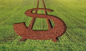 Um cabo de guerra chamado Plano Safra