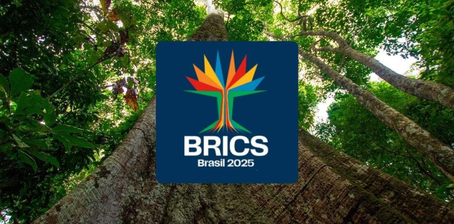 O Brics em tempos de tarifaço